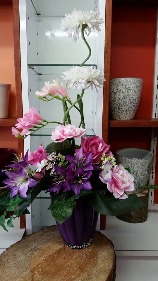 10402537_733483220026154_1208088285524989247_n