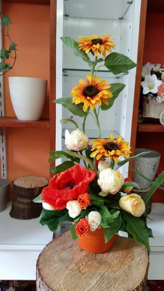 1902850_766195990088210_1972349876783219015_n