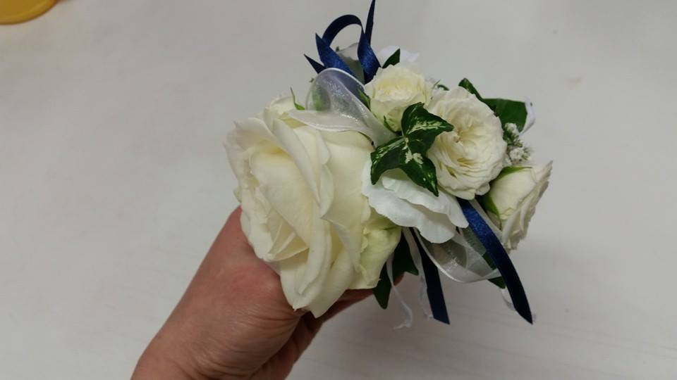 1909909_748186491889160_1498783415748549594_n